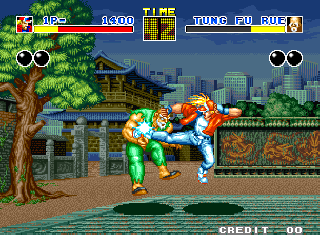 fatalfury1.png (21709 bytes)