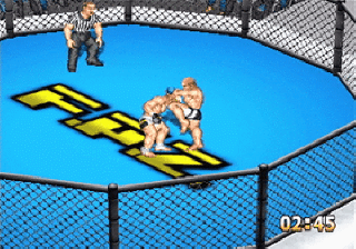 fireprowrestlingz2ps2.gif (46755 bytes)