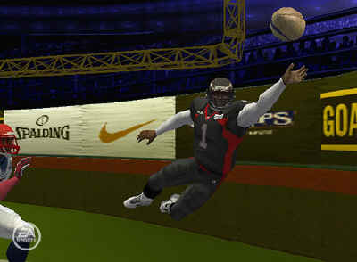 arenafootball3xbox.jpg (34784 bytes)