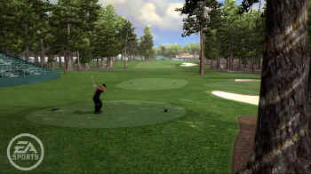 tigerwoods063360.jpg (9915 bytes)