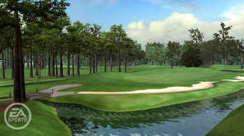 tigerwoods064360.jpg (10622 bytes)